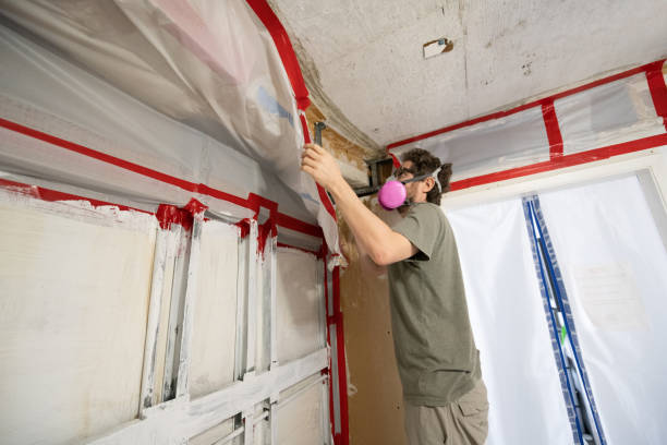 Best Mold Odor Removal Services  in Clinton, MI