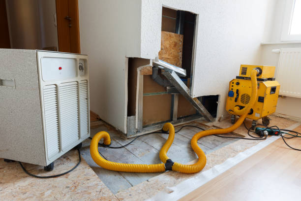 Best Mold Damage Restoration  in Clinton, MI