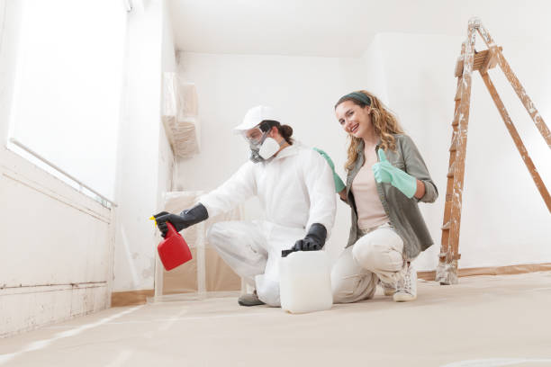 Best Mold Prevention Services  in Clinton, MI